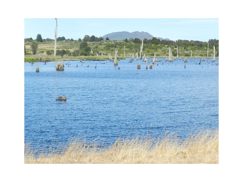 Lot 2 Waratah Road, Waratah TAS 7321