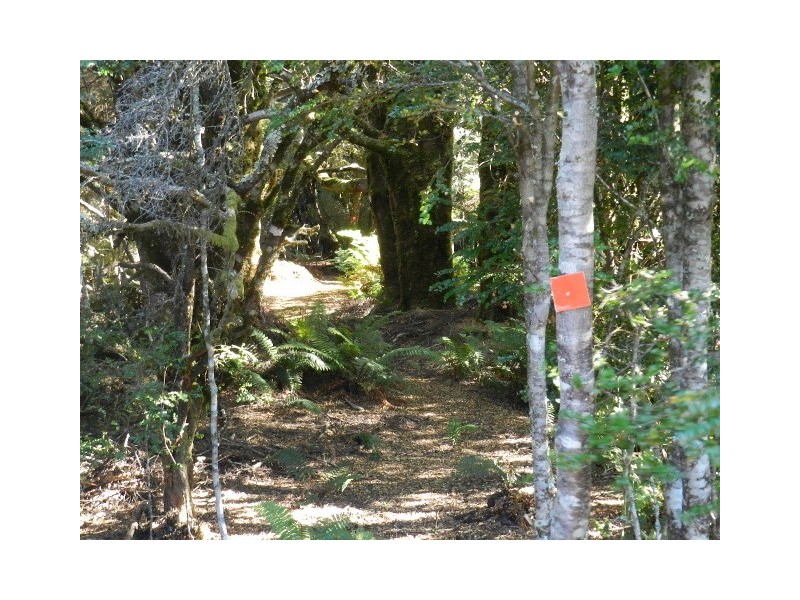 Lot 2 Waratah Road, Waratah TAS 7321