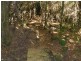 Lot 2 Waratah Road, Waratah TAS 7321