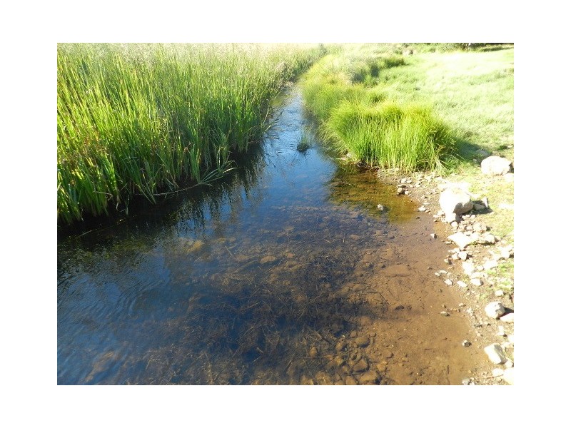 Lot 2 Waratah Road, Waratah TAS 7321