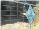 Lot 2 Waratah Road, Waratah TAS 7321
