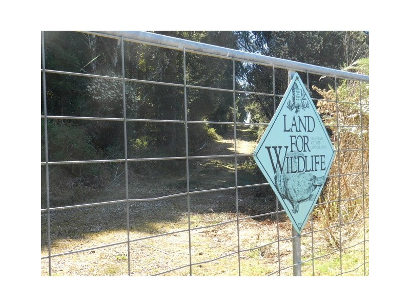 Lot 2 Waratah Road, Waratah TAS 7321