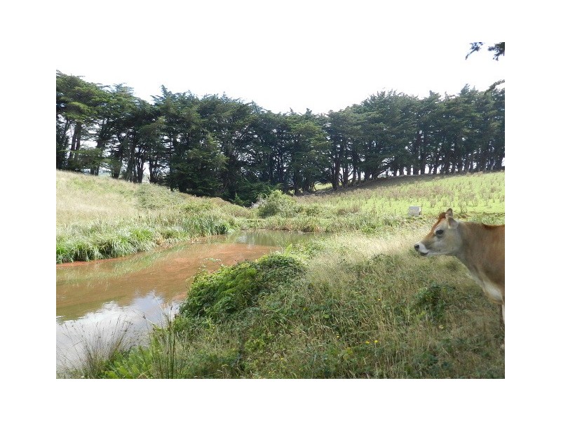 833 East Yolla Road, Yolla TAS 7325