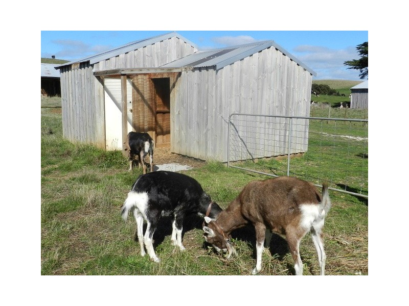 58 Upper Natone Road, Natone TAS 7321