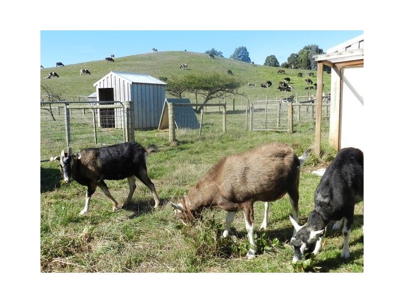 58 Upper Natone Road, Natone TAS 7321