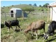 58 Upper Natone Road, Natone TAS 7321