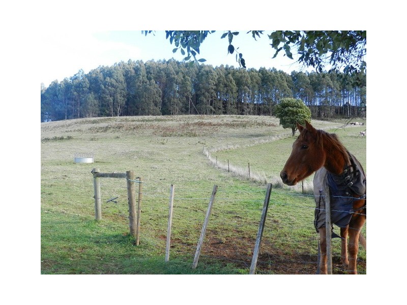 0 Duffs Road, Riana TAS 7316