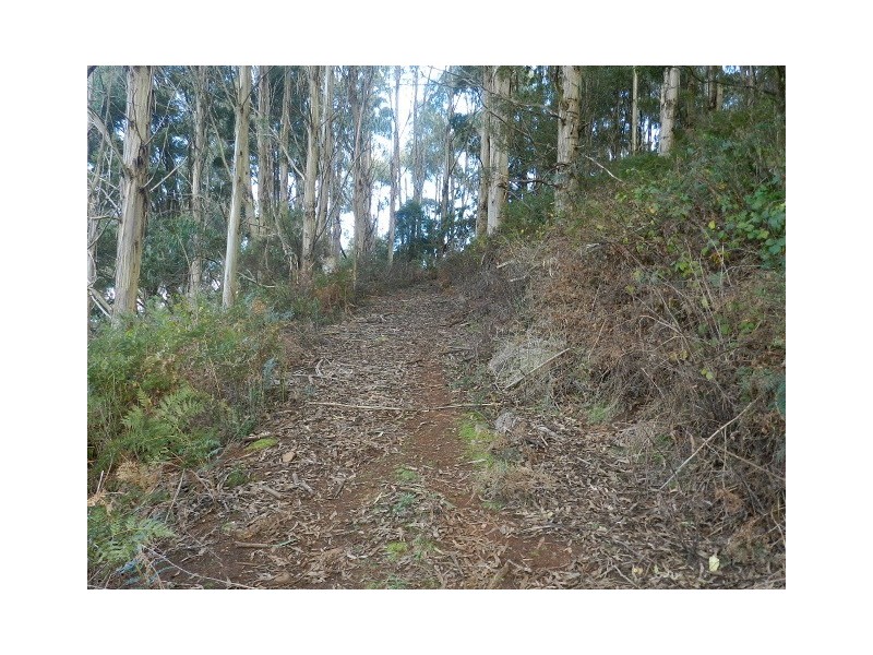 0 Duffs Road, Riana TAS 7316