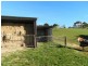 576 Stotts Road, Riana TAS 7316