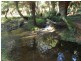 576 Stotts Road, Riana TAS 7316