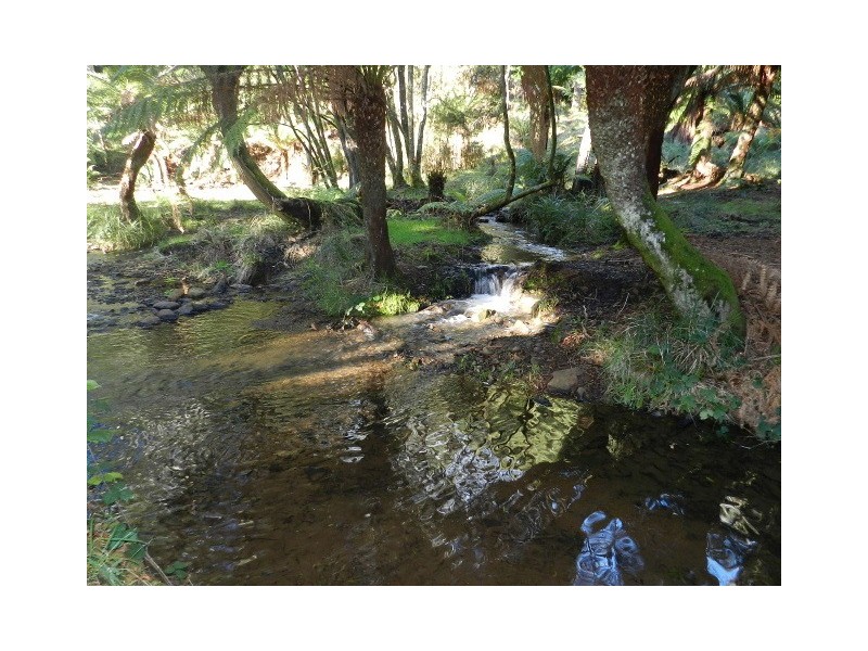 576 Stotts Road, Riana TAS 7316