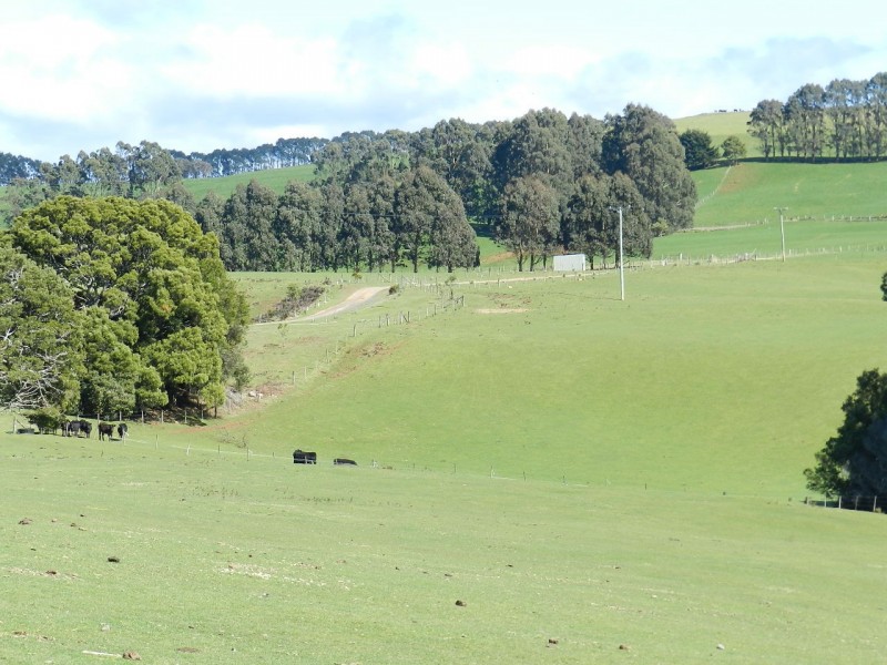 410 East Yolla Road, Yolla TAS 7325