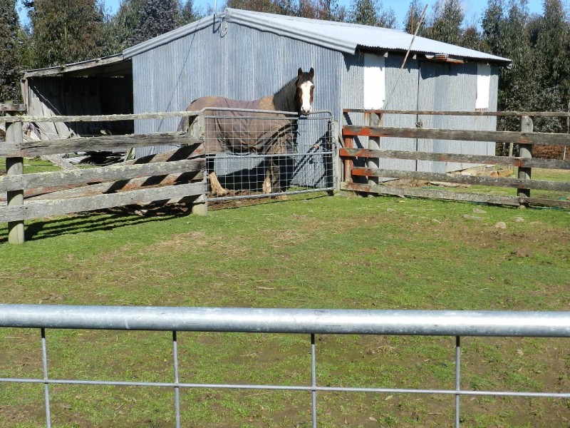 410 East Yolla Road, Yolla TAS 7325