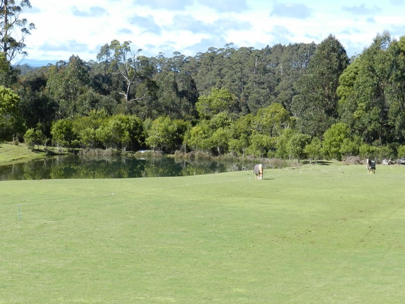 410 East Yolla Road, Yolla TAS 7325