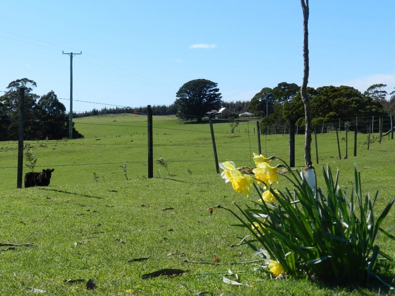 410 East Yolla Road, Yolla TAS 7325