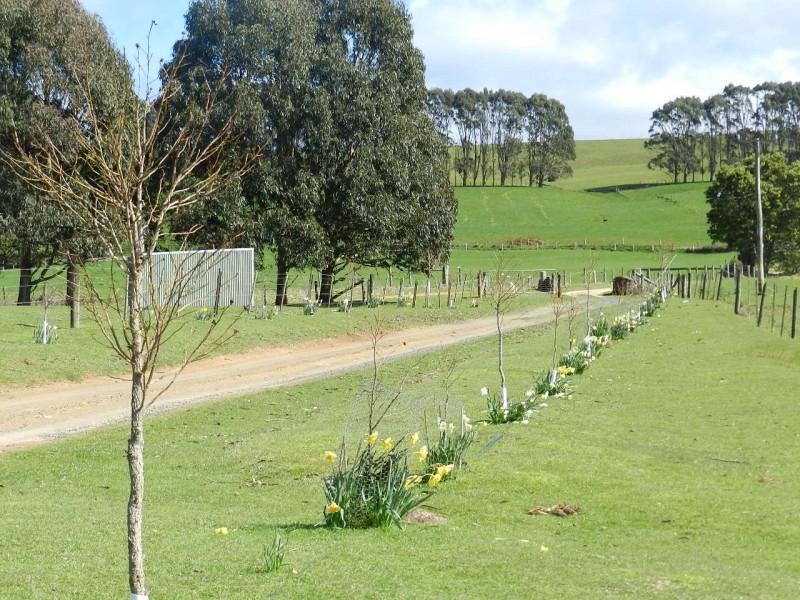 410 East Yolla Road, Yolla TAS 7325