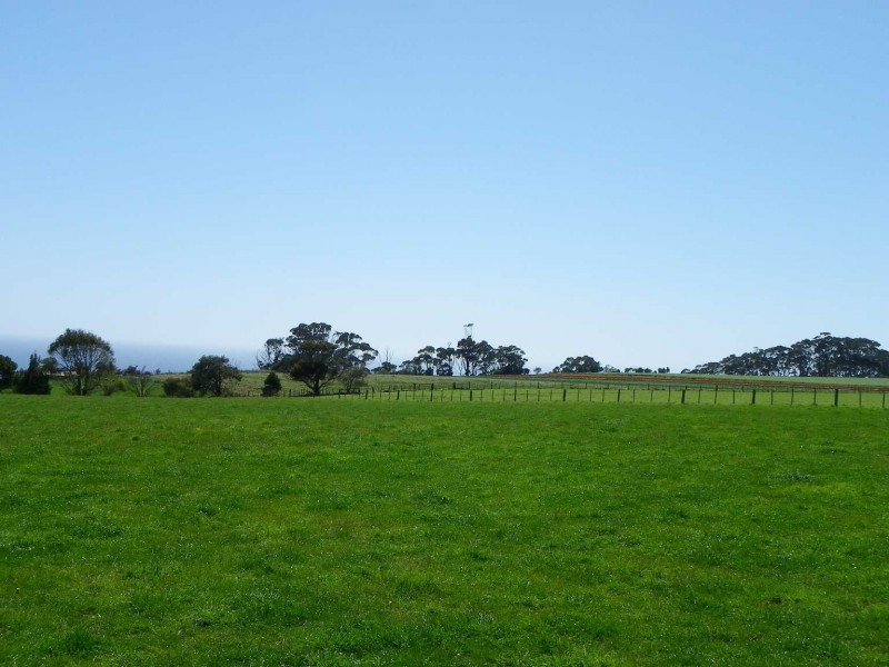 237 Tollymore Road, Table Cape TAS 7325