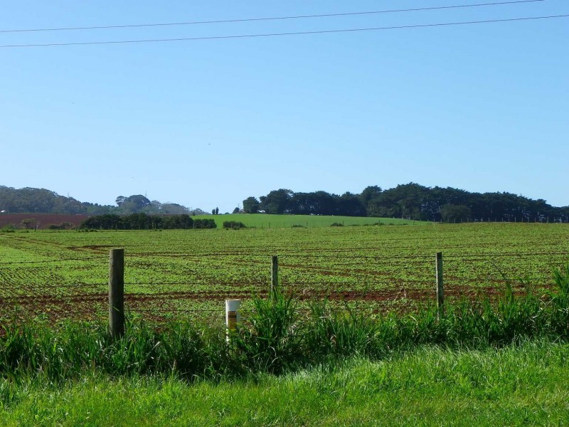 237 Tollymore Road, Table Cape TAS 7325