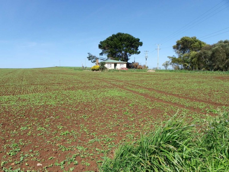 237 Tollymore Road, Table Cape TAS 7325