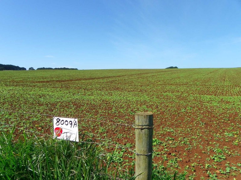 237 Tollymore Road, Table Cape TAS 7325