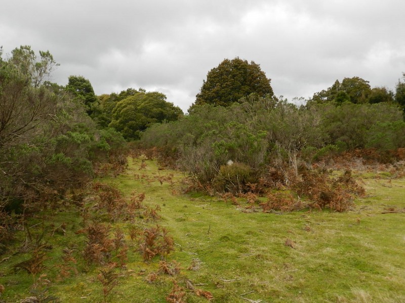 Lot 3 Moore Street, Waratah TAS 7321