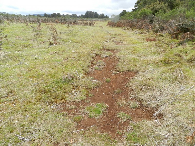 Lot 3 Moore Street, Waratah TAS 7321