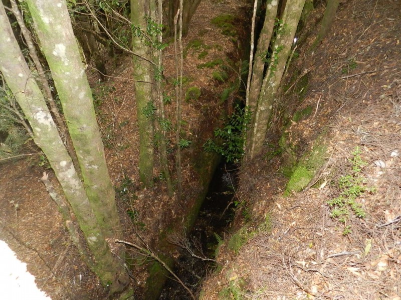 Lot 3 Moore Street, Waratah TAS 7321