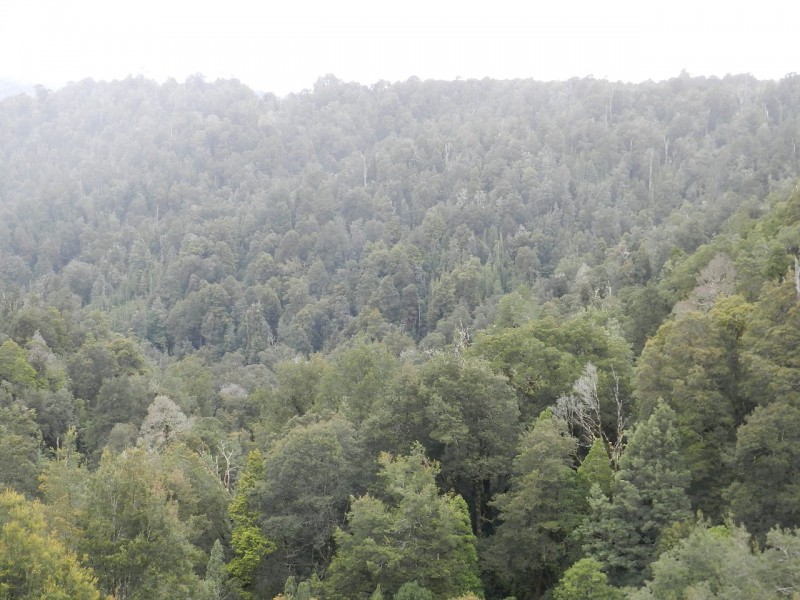 Lot 3 Moore Street, Waratah TAS 7321