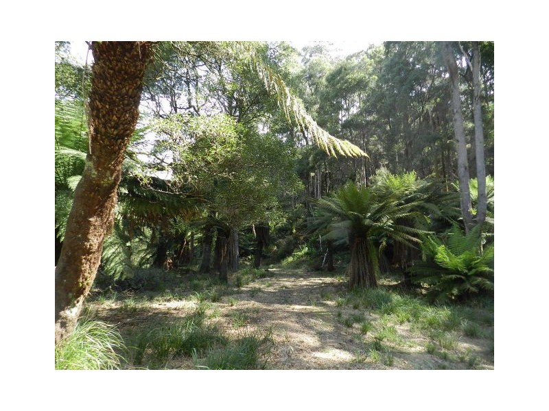 463 Seabrook Road, Somerset TAS 7322