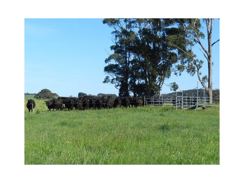 489 Mooreville Road, Burnie TAS 7320