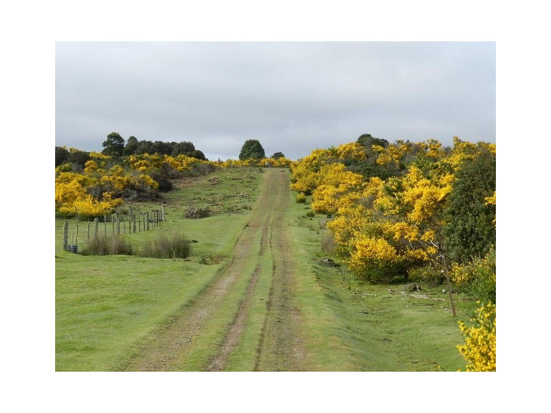Lot 1 Sprent Street, Waratah TAS 7321