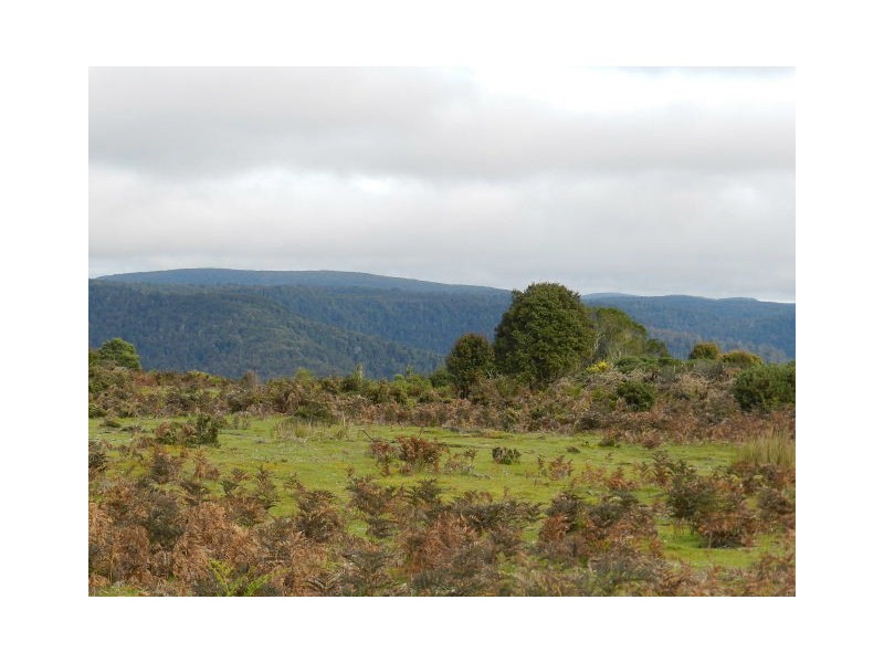 Lot 1 Sprent Street, Waratah TAS 7321