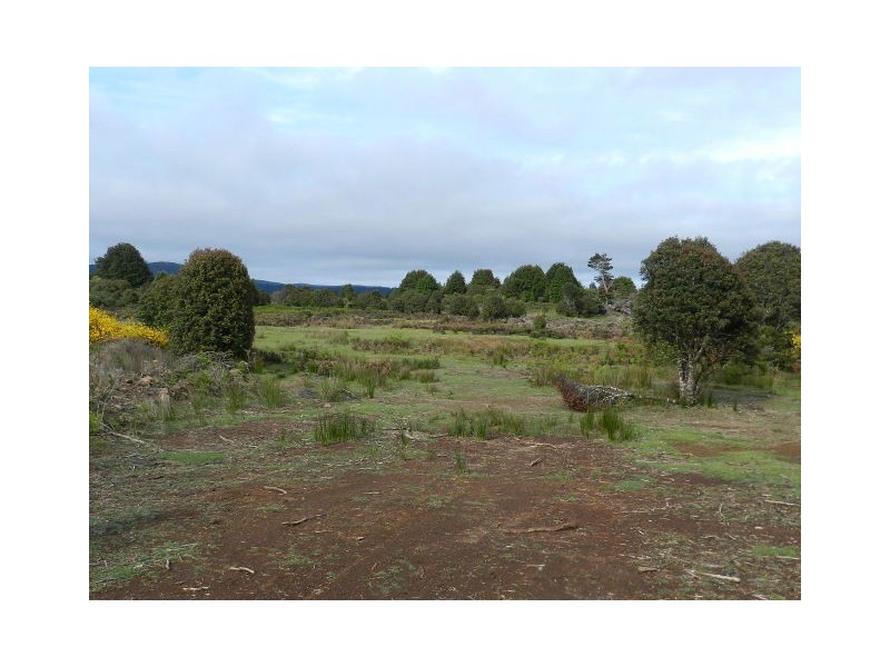 Lot 1 Sprent Street, Waratah TAS 7321
