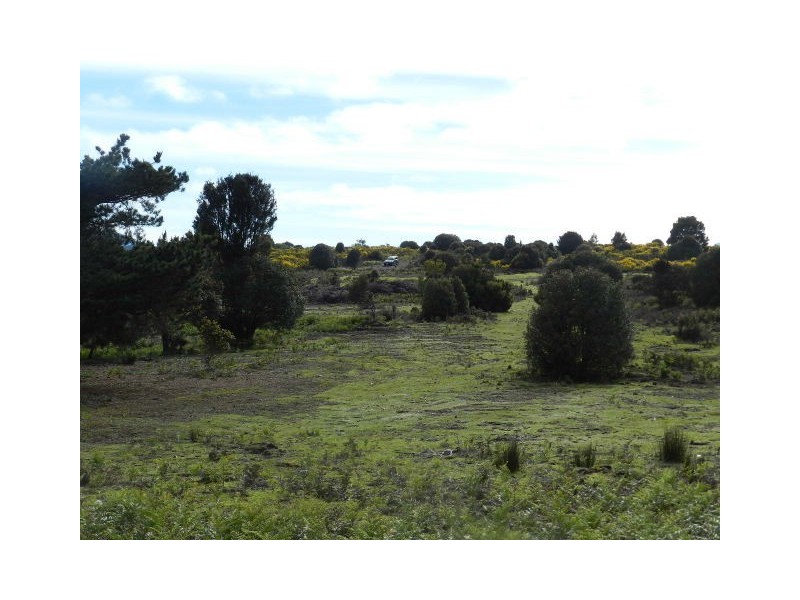 Lot 1 Sprent Street, Waratah TAS 7321
