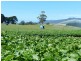 277 Stotts Road, Riana TAS 7316