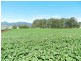 277 Stotts Road, Riana TAS 7316