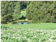 277 Stotts Road, Riana TAS 7316