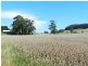 277 Stotts Road, Riana TAS 7316