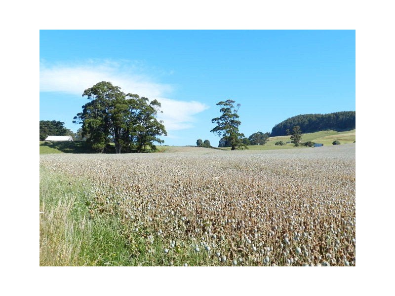 277 Stotts Road, Riana TAS 7316