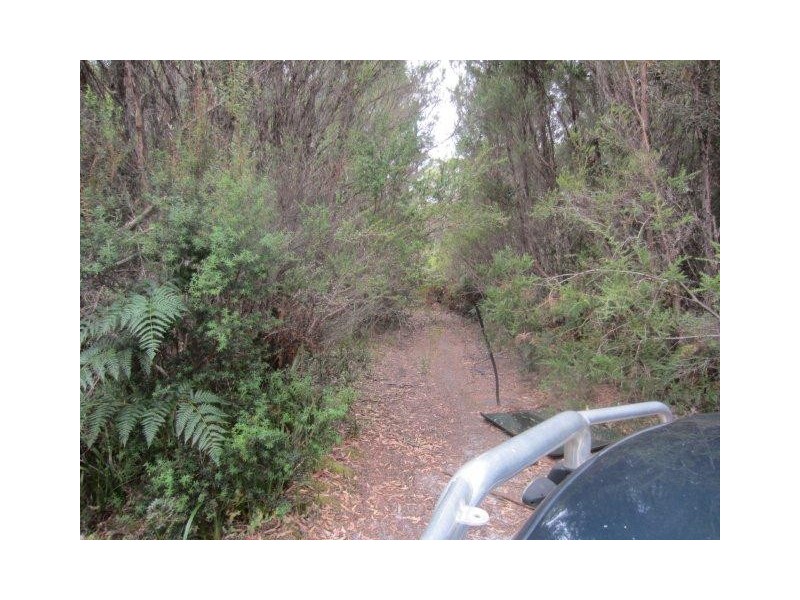 0 Henty Road, Zeehan TAS 7469