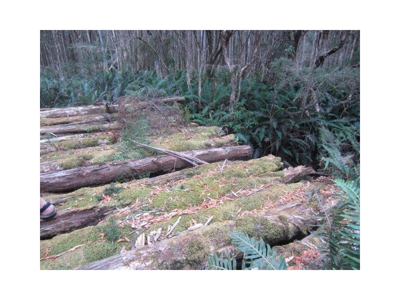 0 Henty Road, Zeehan TAS 7469