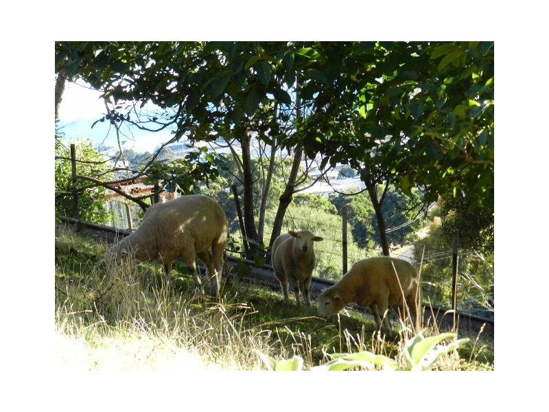 10 Wembley Street Lane, Brooklyn TAS 7320