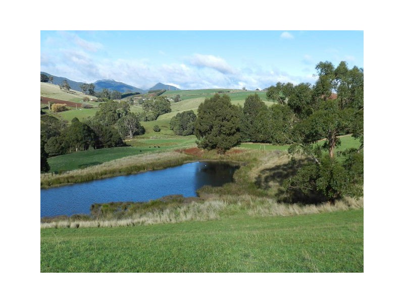 175 Zig Zag Road, Sulphur Creek TAS 7316
