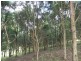 175 Zig Zag Road, Sulphur Creek TAS 7316