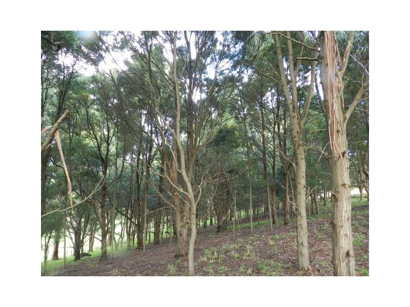 175 Zig Zag Road, Sulphur Creek TAS 7316