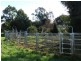175 Zig Zag Road, Sulphur Creek TAS 7316