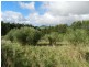 175 Zig Zag Road, Sulphur Creek TAS 7316
