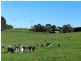175 Zig Zag Road, Sulphur Creek TAS 7316