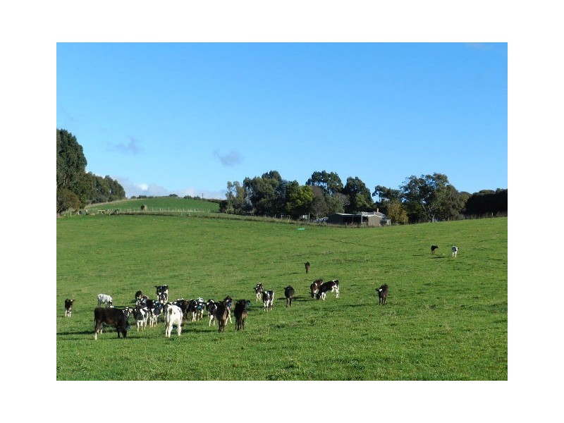 175 Zig Zag Road, Sulphur Creek TAS 7316