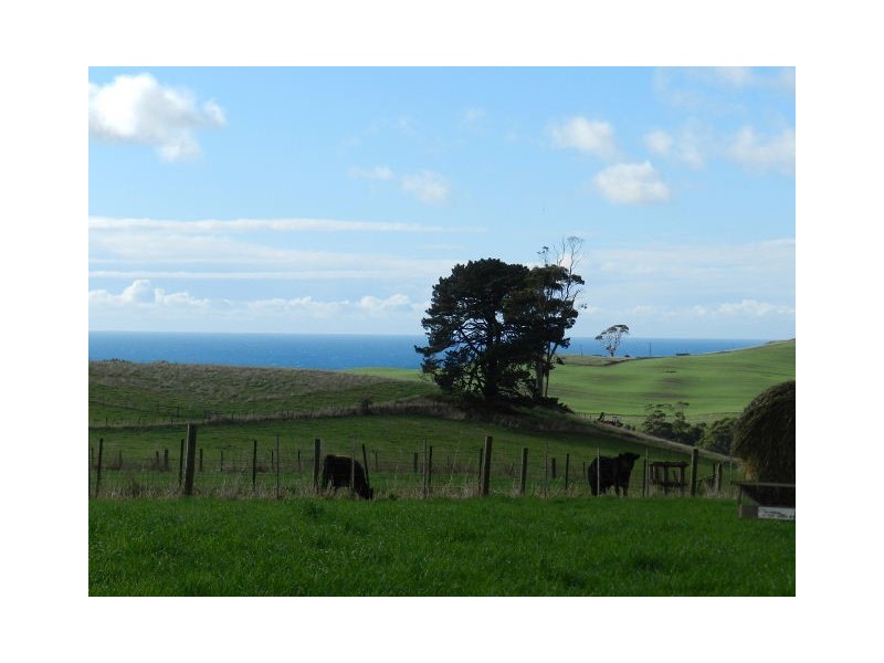 175 Zig Zag Road, Sulphur Creek TAS 7316